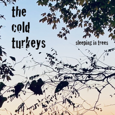 Cold Turkeys - Sleeping In Trees album cover shows a photo of trees